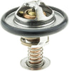 299-170 Thermostat with Seal