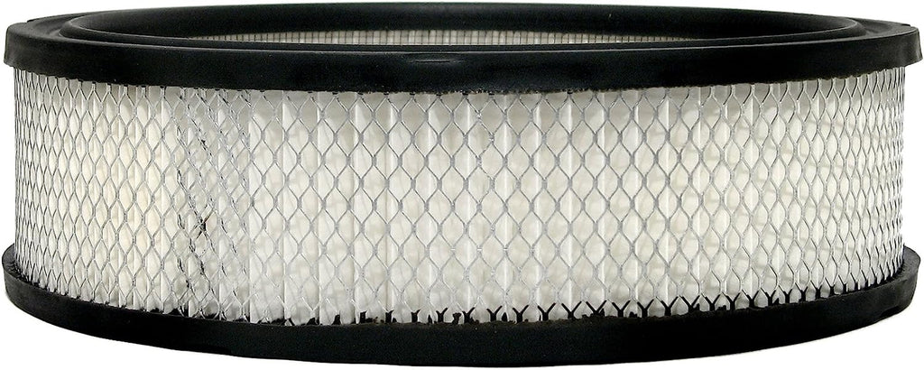 GM Original Equipment A773C Air Filter