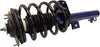 Roadmatic 181615 Strut and Coil Spring Assembly