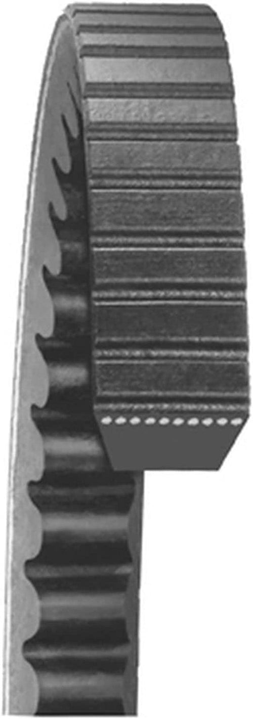 22463 Gold Label V-Belt