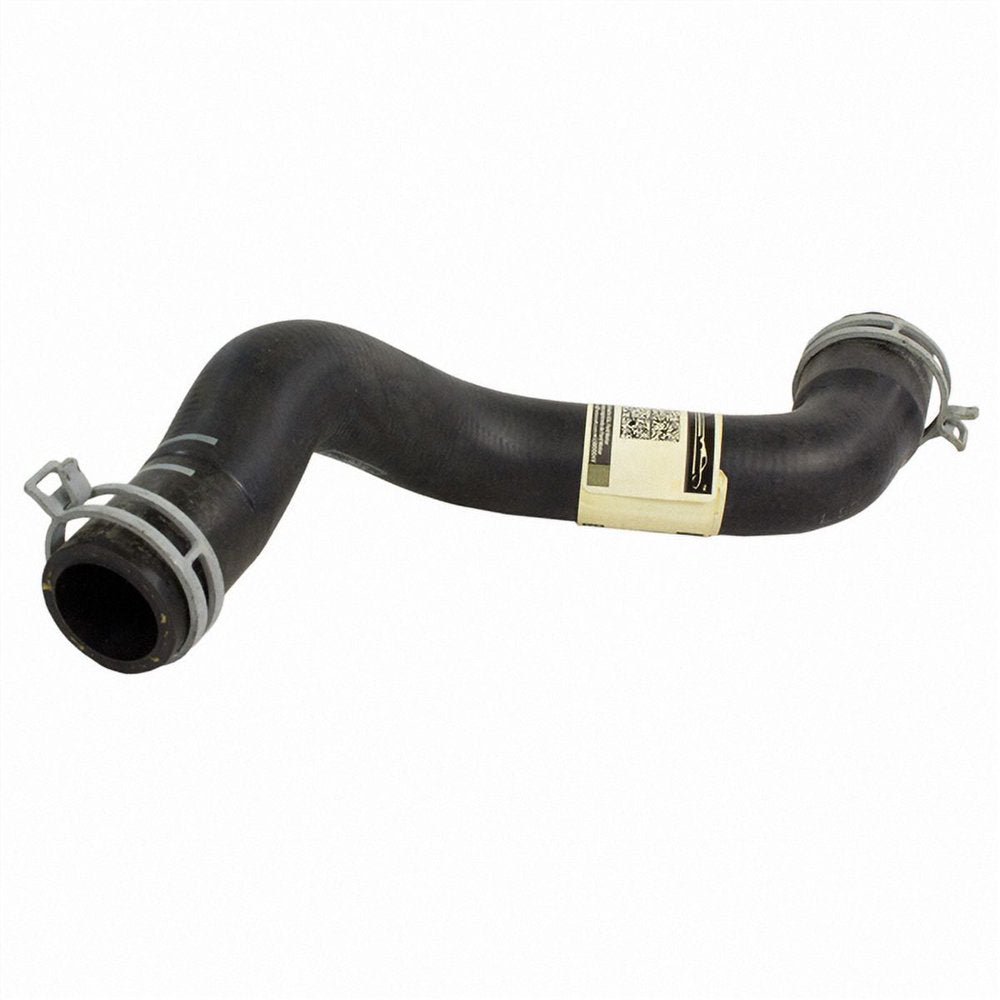 HOSE - RADIATOR (P)