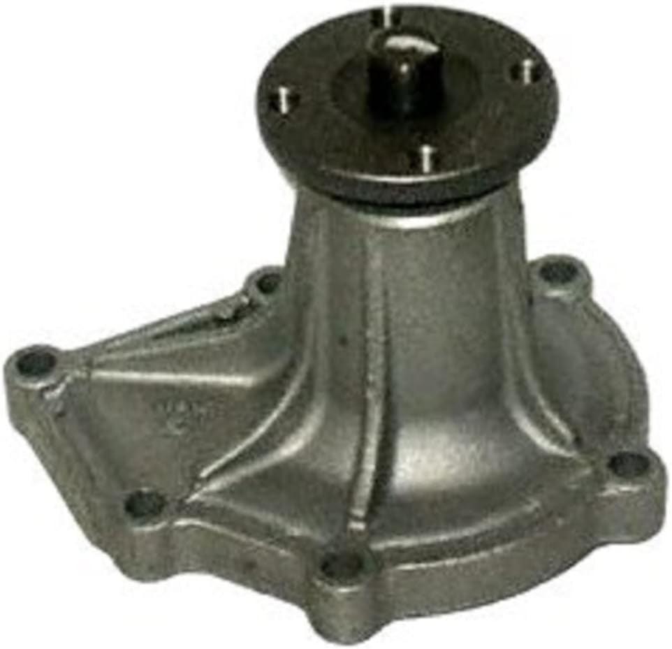 42087 Water Pump