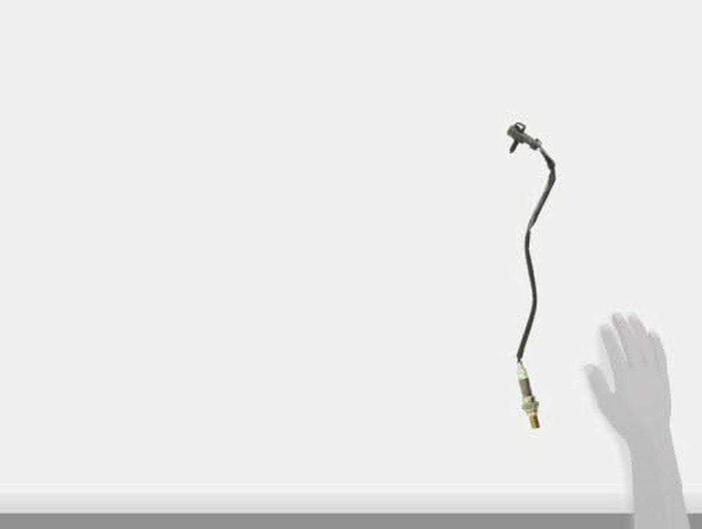 24653 Oxygen Sensor