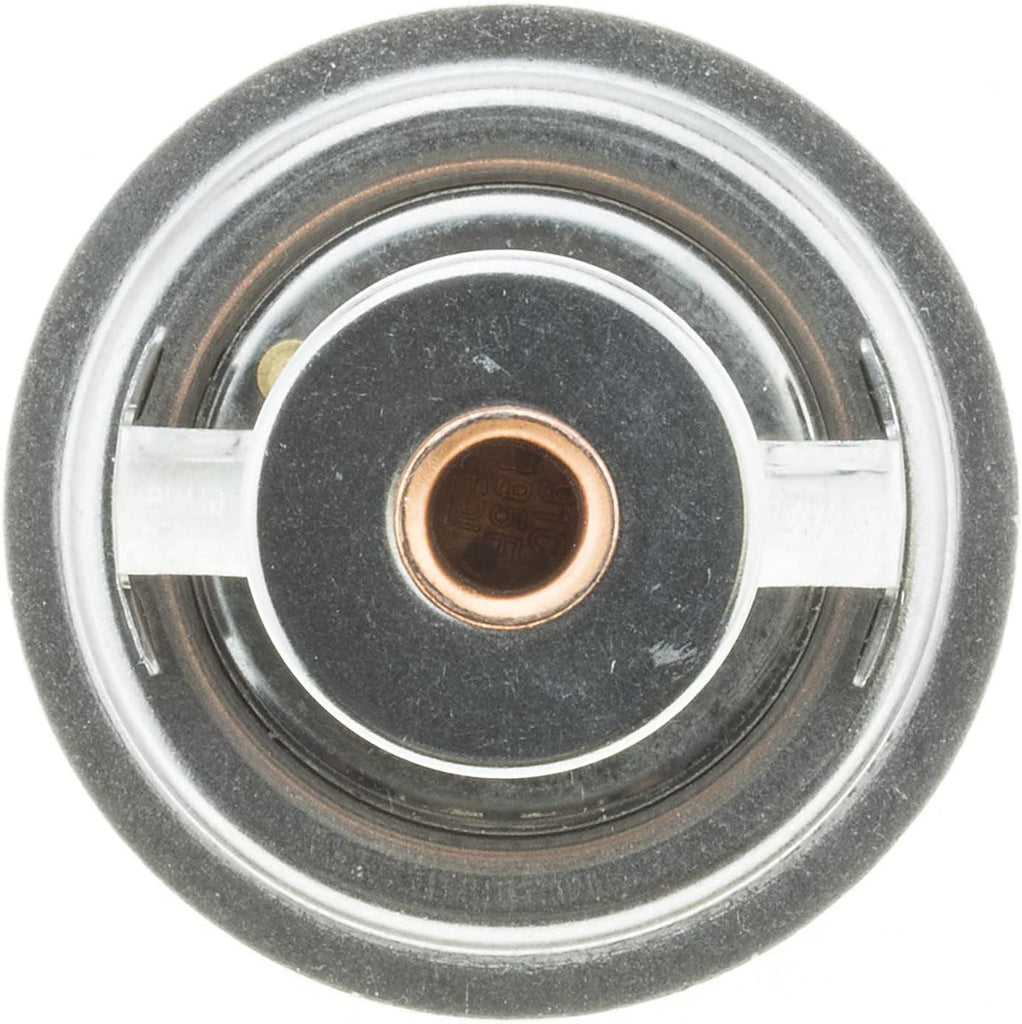 OE Type Thermostat,Stainless Steel