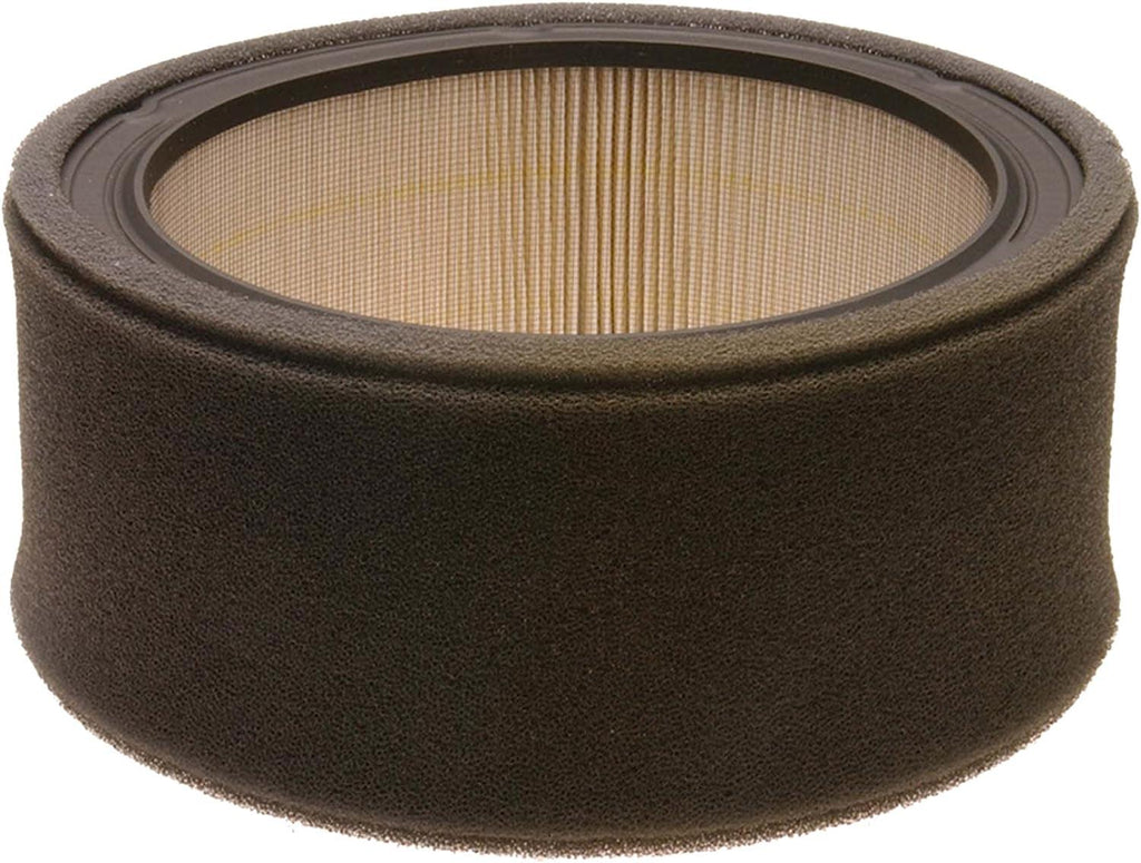GM Original Equipment A926C Air Filter