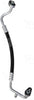 56449 Discharge Line Hose Assembly