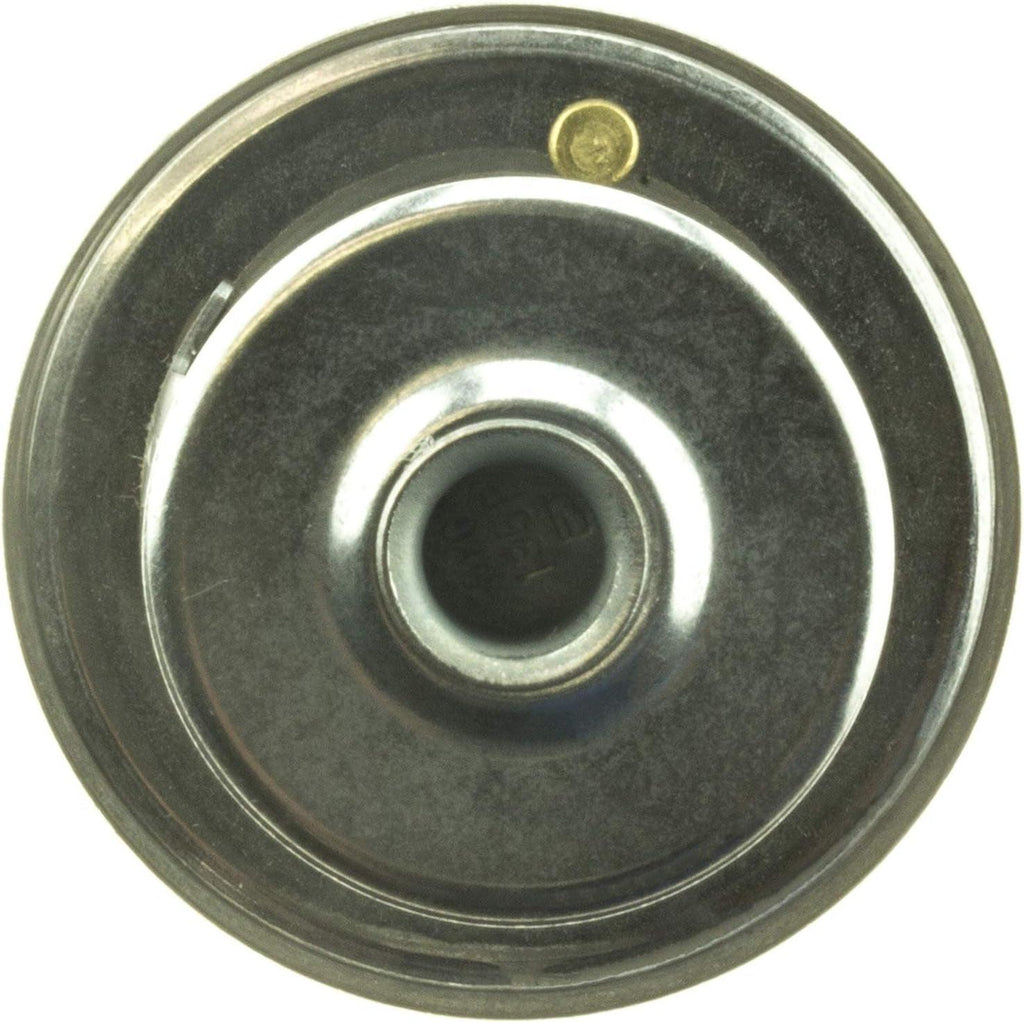 -45979 Superstat Premium Thermostat, Stainless Steel