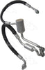 55813 Hose Assembly