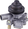 42202 Light Water Pumps