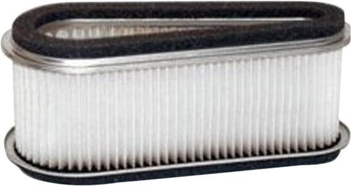 Professional A2587C Air Filter
