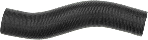 Gold 20155S Molded Lower Radiator Hose