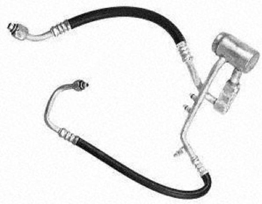 55450 Hose Assembly