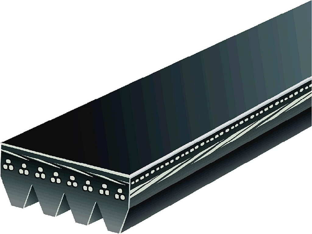 Gold 4K245 Standard V-Ribbed Serpentine Belt