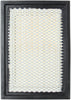 Denso Air Filter for Ford, Mazda, Mercury 143-3355