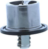 4061-60: Engine Coolant Thermostat