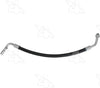 56814 Hose Assembly