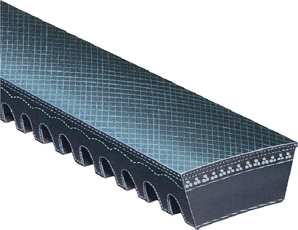 Specialty 6575 Special Application Lawn and Garden Belt