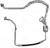 56388 Discharge and Suction Line Hose Assembly