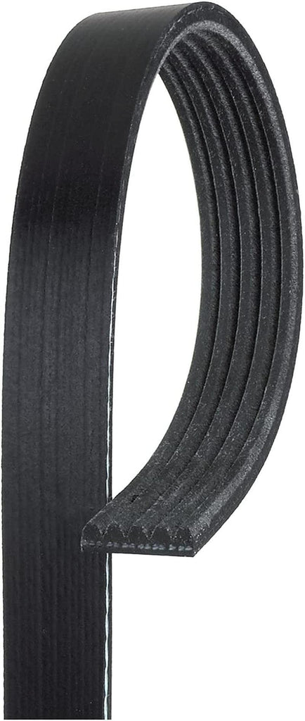 Gold 5K685 Standard V-Ribbed Serpentine Belt