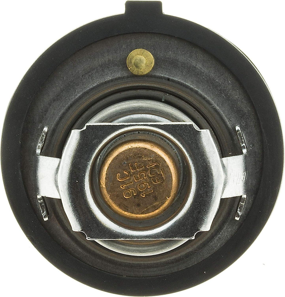 33849 Thermostat