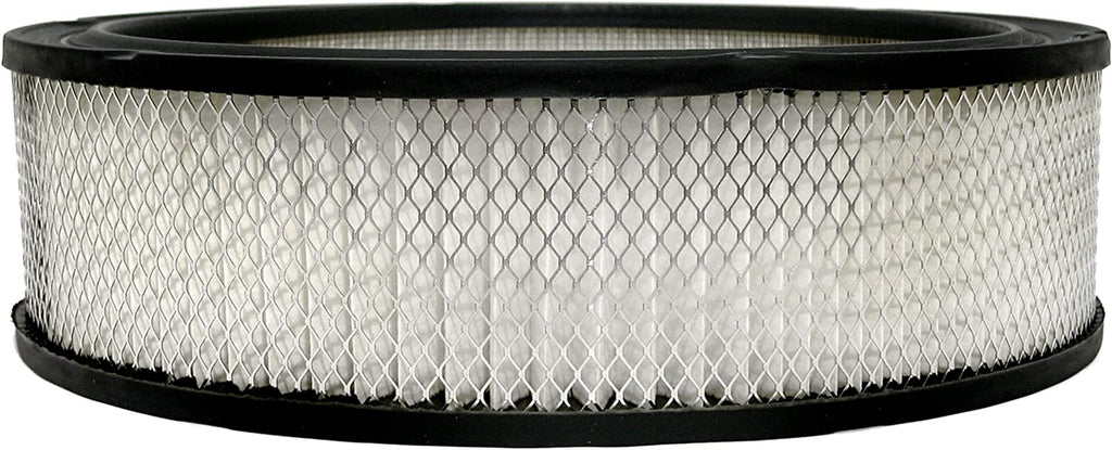 GM Original Equipment A348C Air Filter