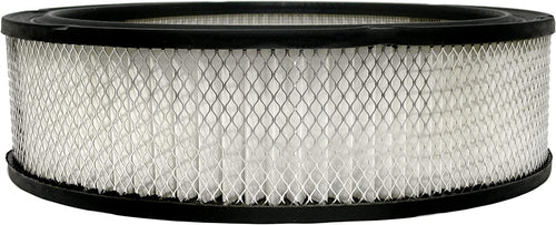 GM Original Equipment A348C Air Filter