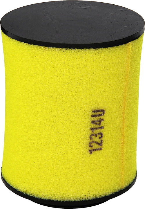 17254-HP5-600 Air Filter