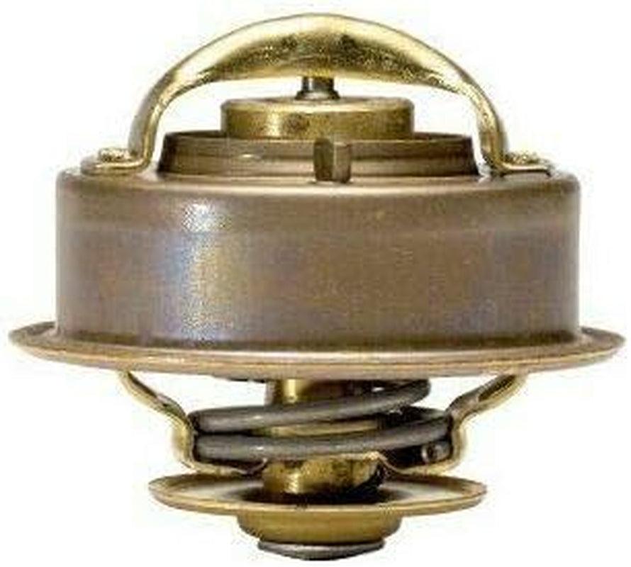 3919 Thermostat