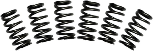 1030060 Valve Spring Kit