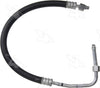 55739 Hose Assembly
