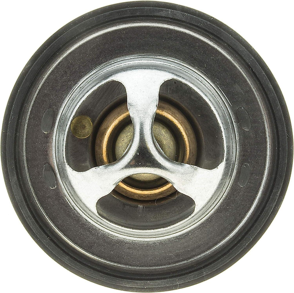 33941 Thermostat