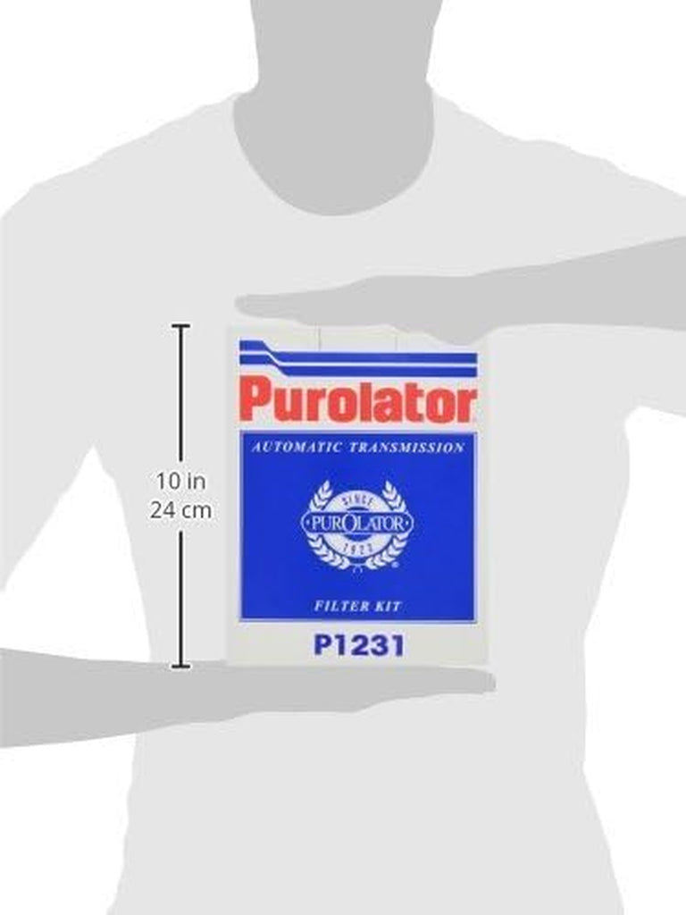 P1231 Transmission Filter