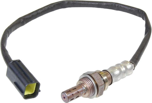 250-24384 4-Wire Oxygen Sensor