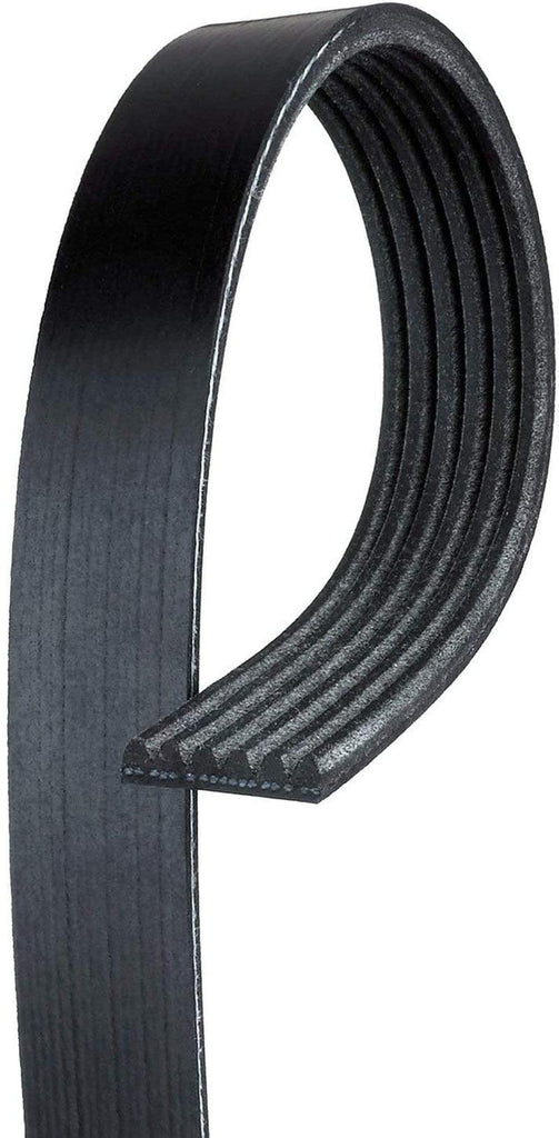 GM Original Equipment 19355279 V-Ribbed Serpentine Belt