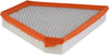 Extra Guard CA12166 Replacement Engine Air Filter for Select Cadillac, Chevrolet and GMC Models, Provides up to 12 Months or 12,000 Miles Filter Protection