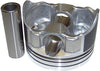 P3166 Piston Set for 1999-2004 / Buick, Cadillac, Chevrolet, GMC, Isuzu/Ascender, Avalanche 1500, Envoy XL, Envoy XUV, Escalade, Express 1500, Express 2500, Rainier, Savana 1500, Savana 2500