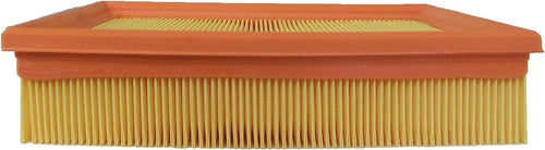 Gold A3006C Air Filter