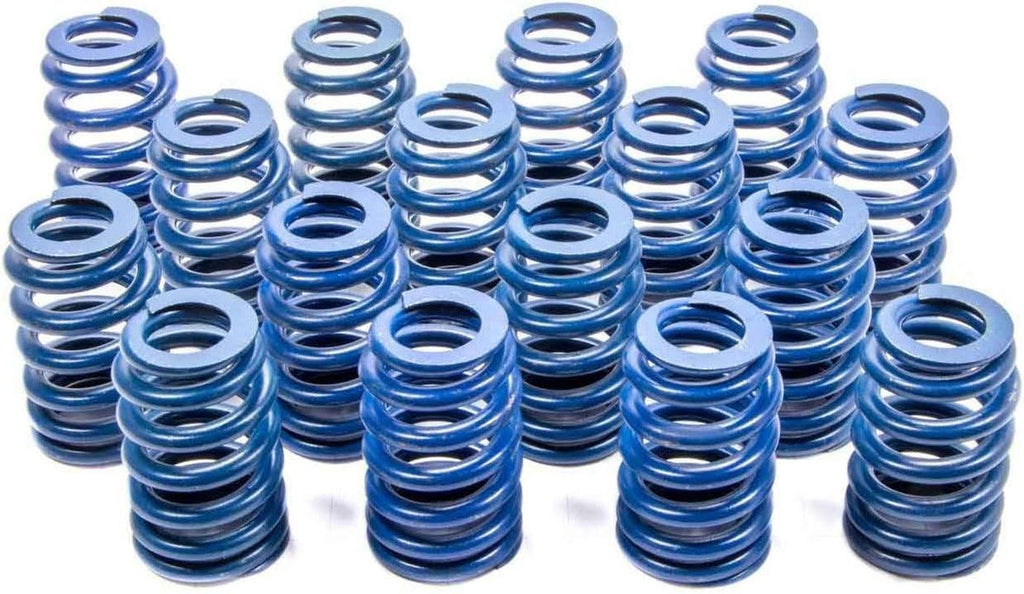 GM Parts 12499224 Valve Spring for LS1 Engine