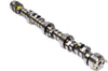 24502586 SBC Hyd. Roller Camshaftfastburn.