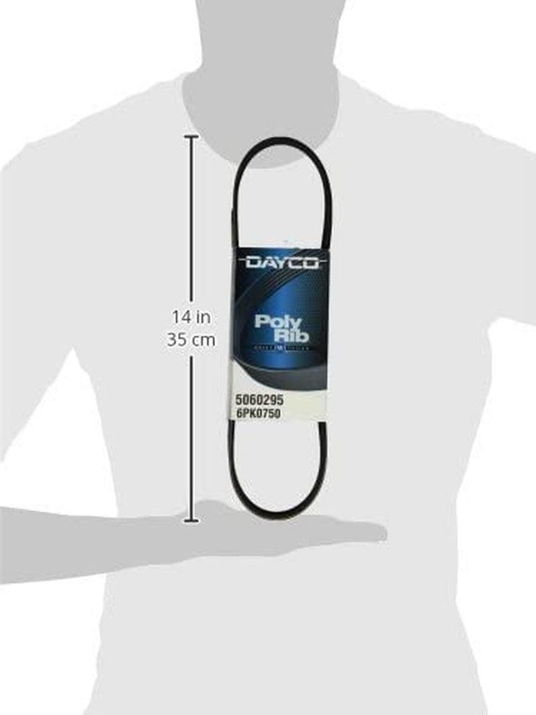 Dayco 5060295 Serpentine Belt