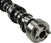 12561721 LS1/LQ9 Stock Camshaft