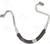 55342 Hose Assembly