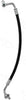 56184 Discharge Line Hose Assembly