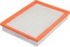 Extra Guard CA6479 Replacement Engine Air Filter for Select Oldsmobile, Buick, Pontiac, Chevrolet, and Cadillac Models, Provides up to 12 Months or 12,000 Miles Filter Protection