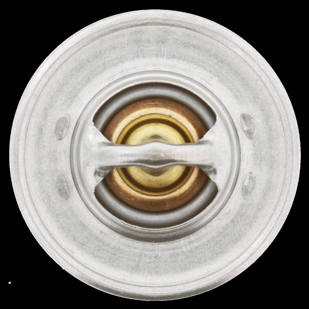 -14419 OE Type Thermostat, Stainless Steel