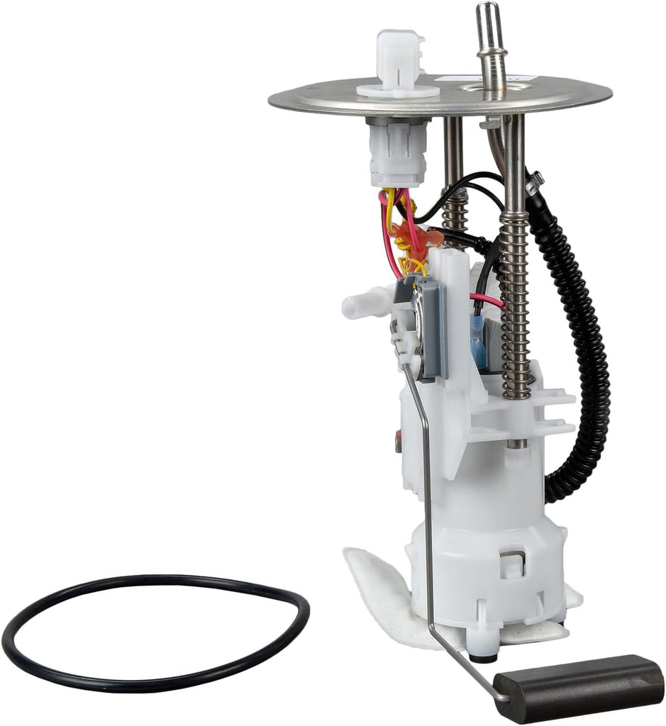 66069 Fuel Pump Module