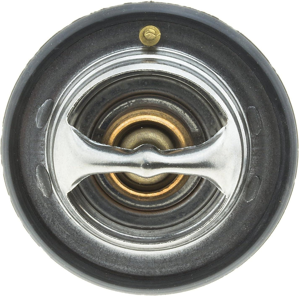 635-192 Thermostat with Seal