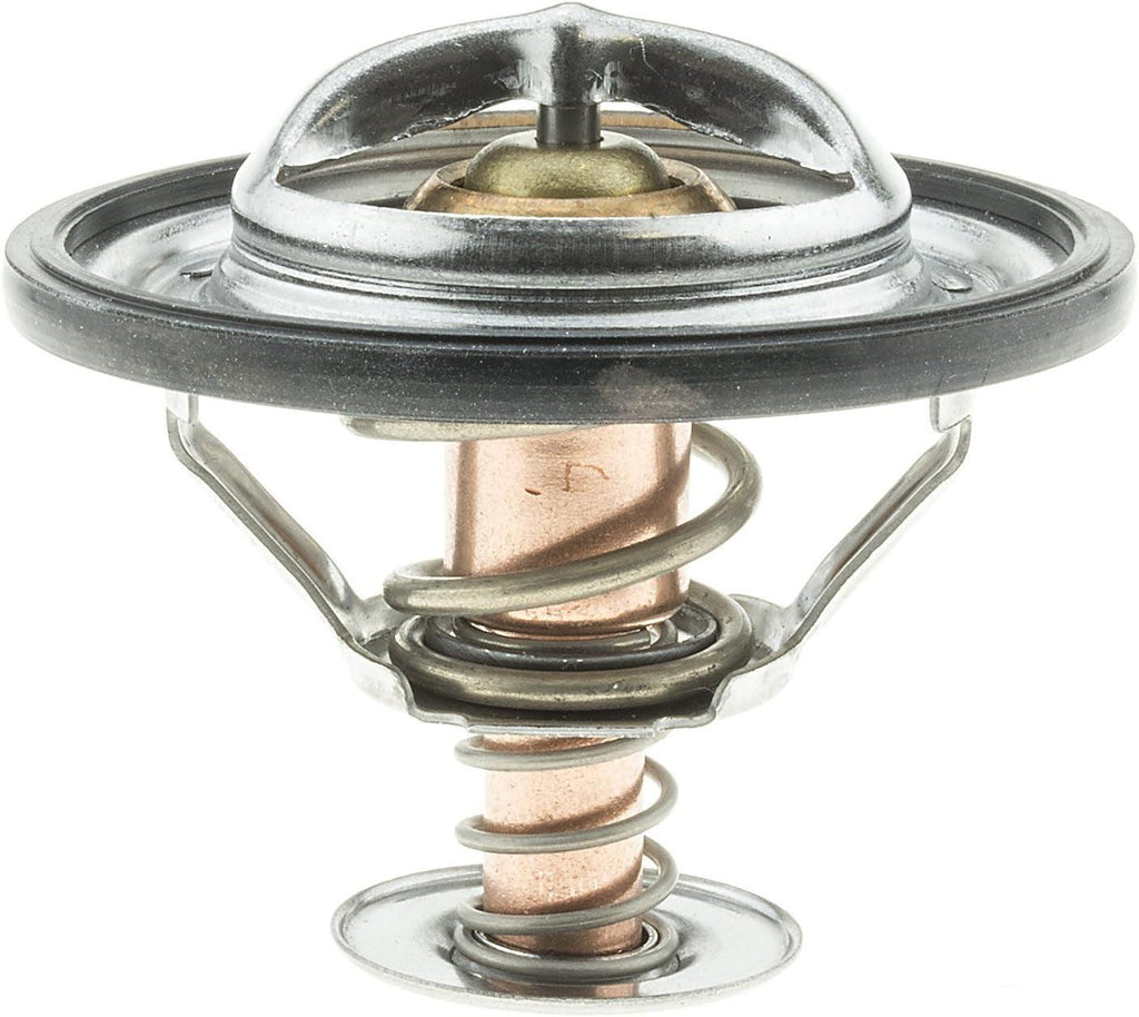 301-192 Thermostat with Seal