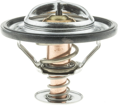 301-192 Thermostat with Seal