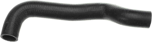 Gold 22631M Molded Lower Radiator Hose